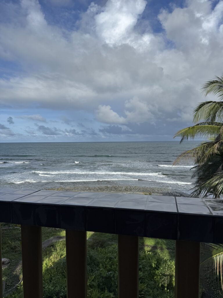 Vue de la chambre...pas mal non???